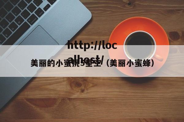 美丽的小蜜挑5星空（美丽小蜜蜂）